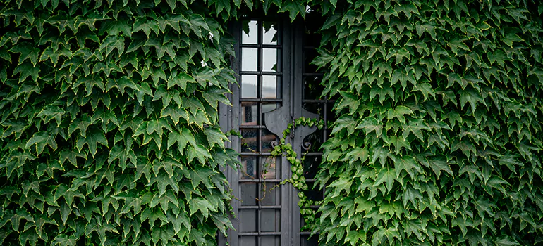 Garden Gate Repair in Redwood City, CA