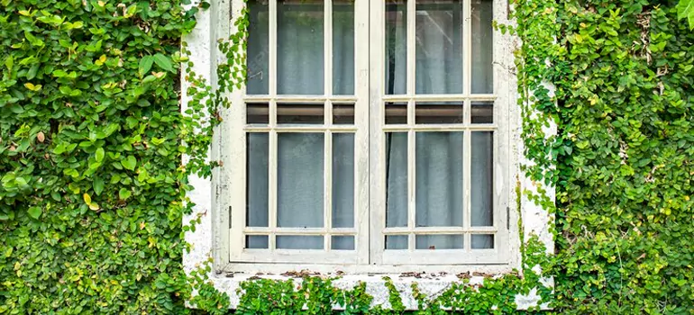 Garden Window Repair Near Me in Redwood City, CA