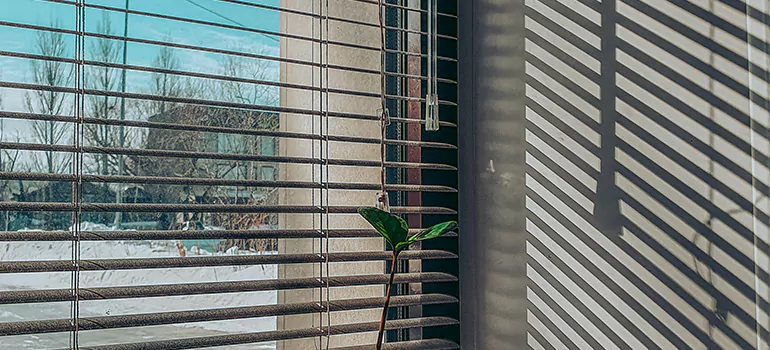 Commercial Window Blinds in Redwood City, CA