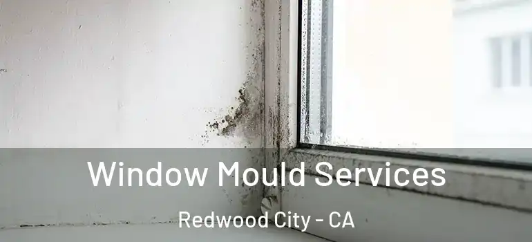  Window Mould Services Redwood City - CA